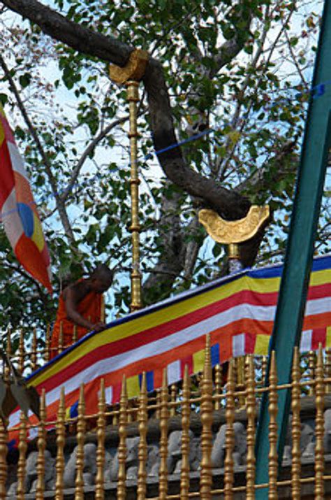 Jaya Sri Maha Bodhi- A Living Legend in Sri Lanka, anuradhapura, Sri ...