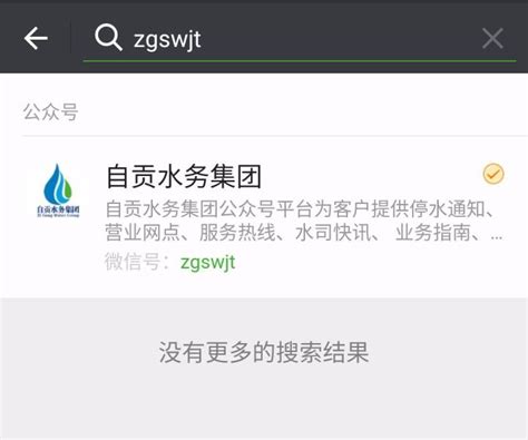 朝阳市民可以微信缴水费啦，足不出户方法简单_用户