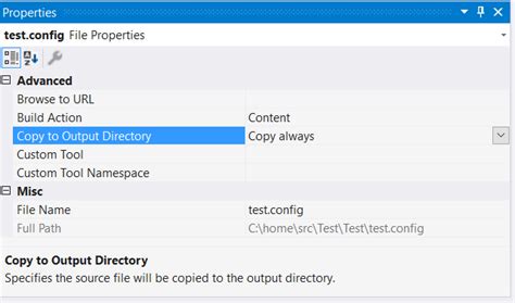 Net Core Config Files 的图像结果