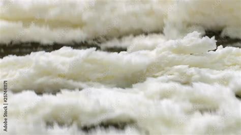 Image result for Pulp Bleaching