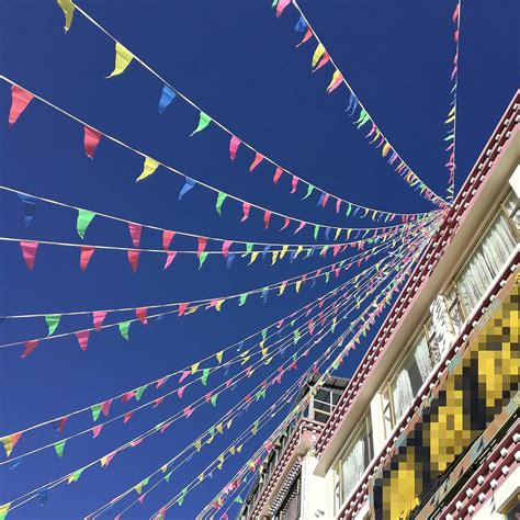 Buy JOYIN 700pcs Cinco de Mayo Pennant Flags Banner 1000ft Nylon Cloth ...