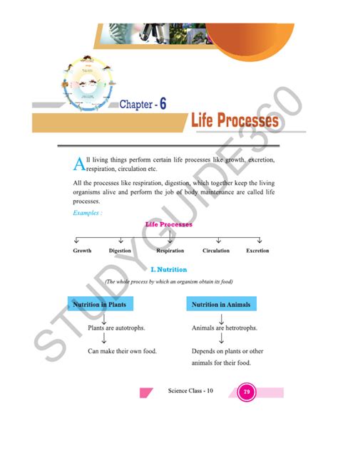 Image result for Ajus Learning Basic Science Ledsson10 Class 6