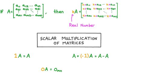 Scalar Multiplication of Matrix Worksheet Simple 的图像结果