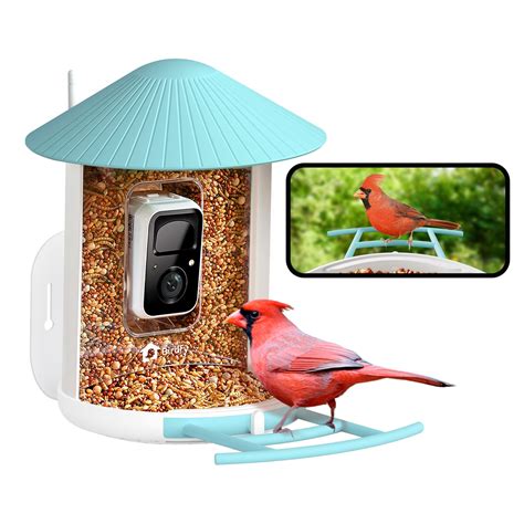 NETVUE by Birdfy Smart Bird Feeder with Camera, Bird Watching Camera ...