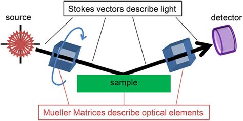 Image result for Ellipsometry Complex Numbers