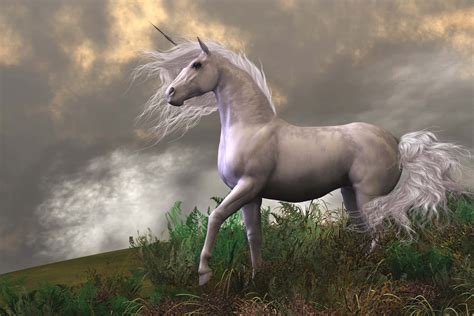 [100+] Real Unicorn Pictures | Wallpapers.com