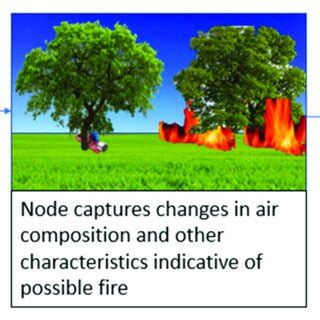 Rezultat imagine pentru Basic Sequence