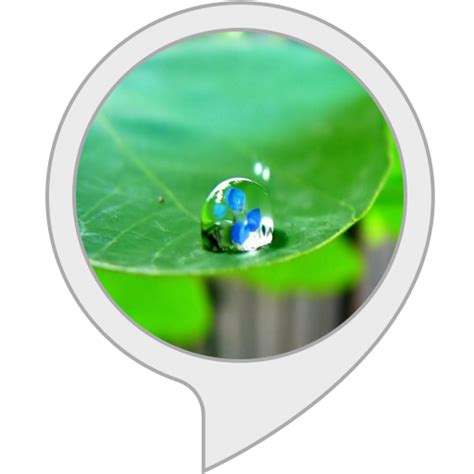 Amazon.in: smart plug : Alexa Skills