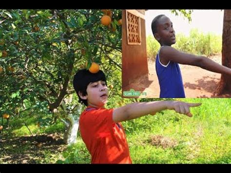 Shake Mango Tree Song 的图像结果