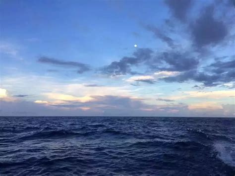 太平洋 的图像结果