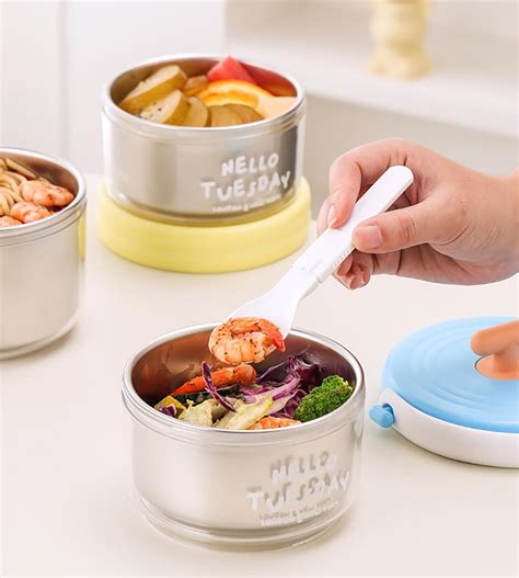 304 Stainless Steel 2-Layer Portable Lunch Box – House of quirk