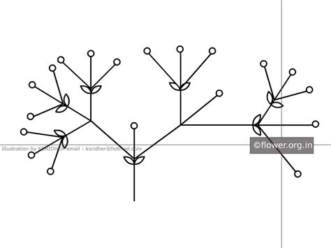 Glossary-C-Calyx,Campanulate,Capitulum,Carpel,Clasping leaf,Cleistogene ...