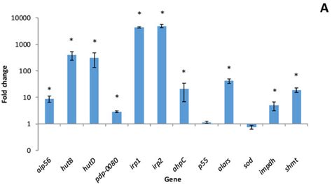 Microorganisms | Special Issue : Marine Vibrios and Photobacteria ...