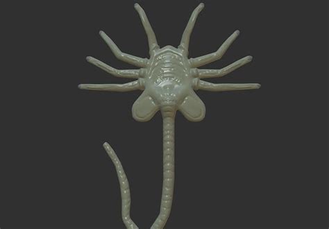 Image result for Alien Facehugger Types