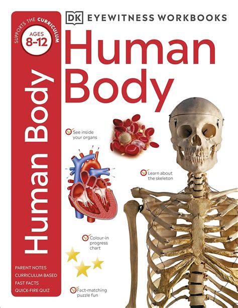 Human Body : DK: Amazon.in: Books