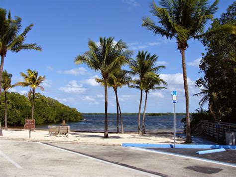 THE SIMMONS SAGA: Chilly Dogs on Cannon Beach, Key Largo, Florida