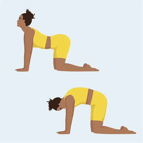 Yoga Back Stretches