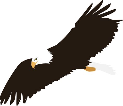 Clipart Of Eagle - Bald Eagle Clipart - Free Transparent PNG - Clip Art ...