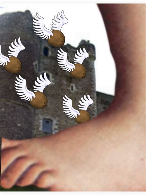 Image result for Monty Python How to Use Your Coconuts