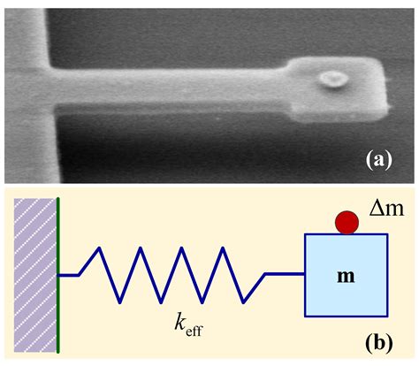 Tunable Micro- and Nanomechanical Resonators