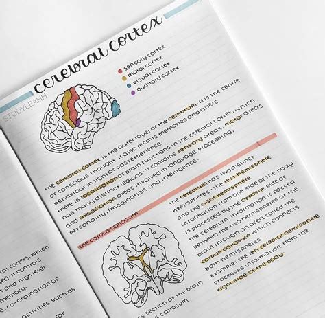 Image result for Class 12 Psychology Aesthetic Notes