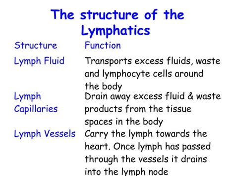 Basic Function of Lymphatic System 的图像结果