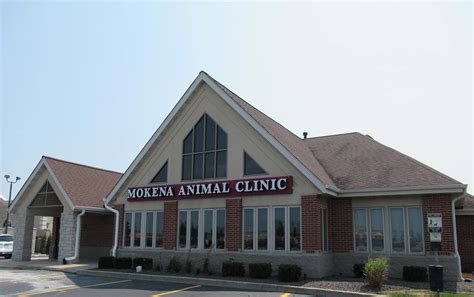 Parasite Prevention FAQs at Mokena Animal Clinic