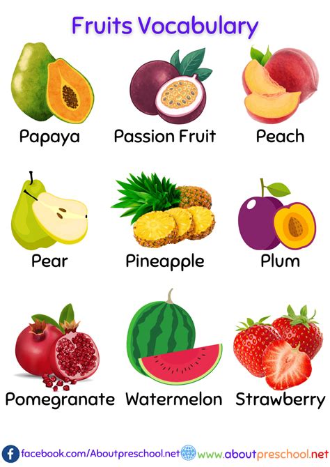 Roots And Fruits Vocabulary at Lynda Higgins blog
