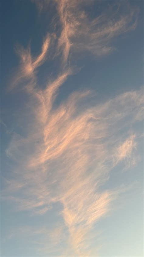 Image result for Sky Texture