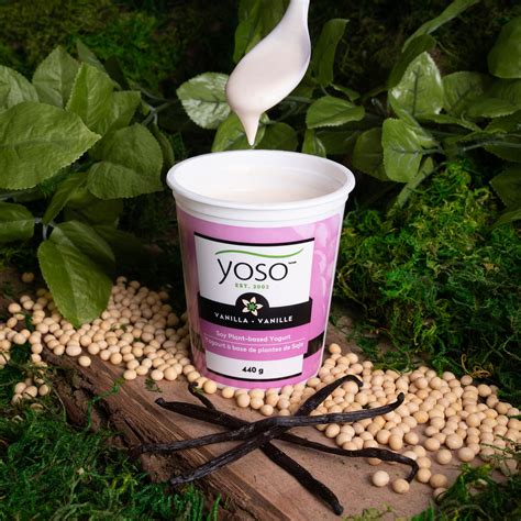 Soy Plant-Based Yogurt | Vanilla 440g | YOSO Ontario