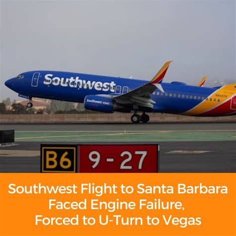 Edhat Santa Barbara | A young black bear was spotted wandering through ...