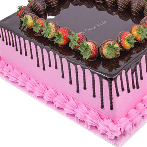(M251) Extravagant Choco Fudge Cake (1 Kg). – Tricity 24