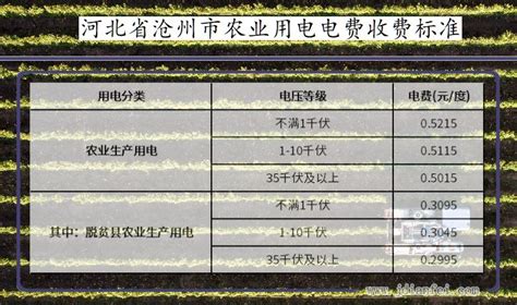 2024年河北省沧州市电费价格标准_沧州市电费多少钱一度_供电营业厅