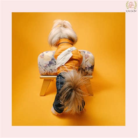 Orange Jumpsuit – Wrapinfur