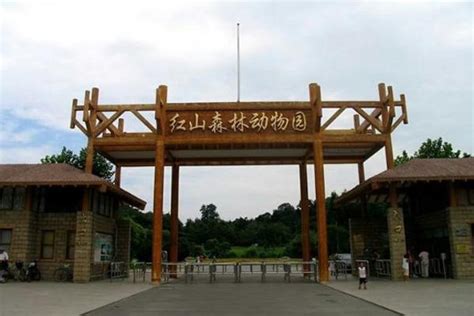 南京 红山森林动物园 门票,马蜂窝自由行 - 马蜂窝自由行
