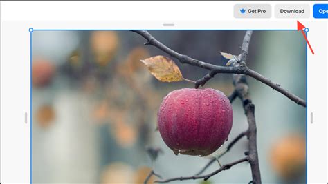 Image result for How to Expand an Image in Computer