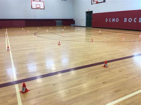 Basic Puppy Obedience - Orientation, DCMO BOCES Adult & Continuing ...