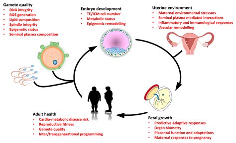 Parental Programming of Offspring Health: The Intricate Interplay between Diet, Environment ...