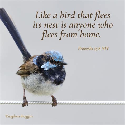 16 Bible Verses About Birds