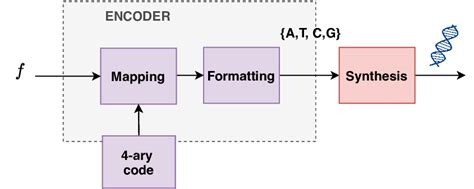 DNA digital data storage Data Encoding 的图像结果