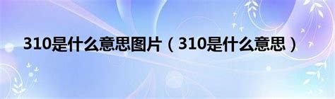 山多力430有骨雨刮器14-28寸u型e2通用无骨雨刷专用多功能接口x5+_贾士五金广场