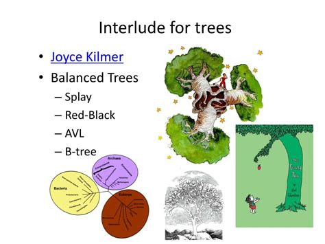 CompSci 的图像结果