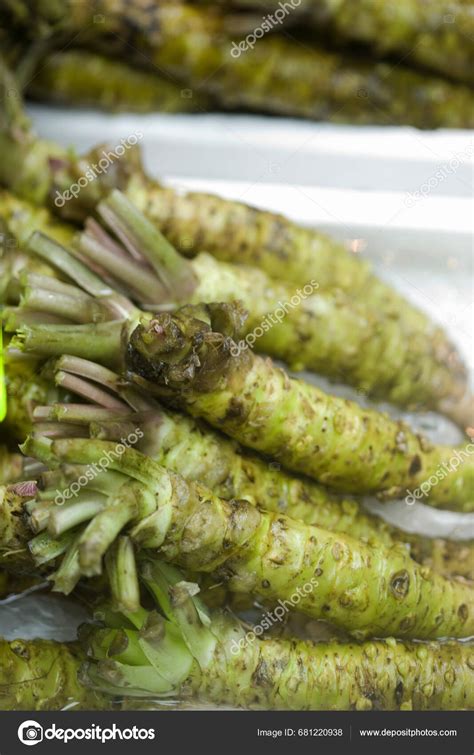 Pile Wasabi Roots Eutrema Japonicum Japanese Horseradish — Stock Photo ...