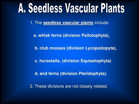 PPT - Chapter 23: The Fungi PowerPoint Presentation, free download - ID ...