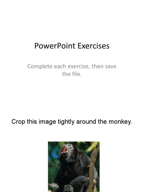 Image result for PowerPoint Exercises for Beginners PDF