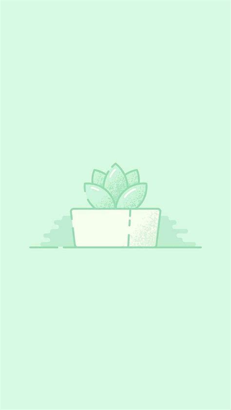 Download Light Green Aesthetic Succulent Wallpaper | Wallpapers.com