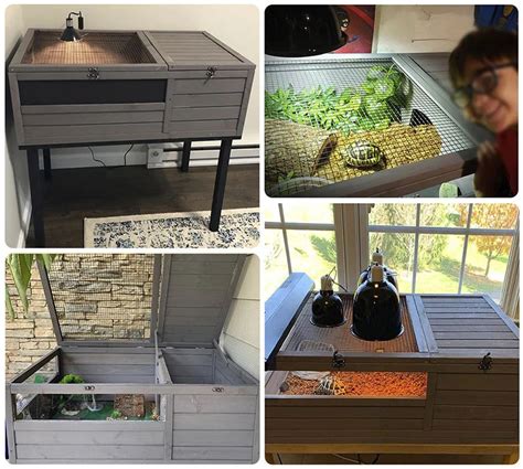 Image result for Box Turtle Homes