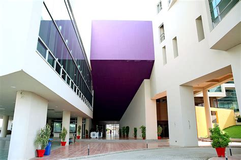 What Pakistan's Amazing Research Productivity Statistic Isn't Telling You