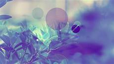 Home Screen Pastel Wallpaper by Pastel Wallpapers Wallpaper Cave Home Screen Pastel Wallpaper