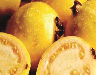 Guayaba en Procesadora de Frutas del Centro de México de México - ppfam.com